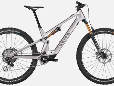 full 2024 3538 neuron on fly ltd M166 P04 P5