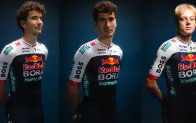 red bull bora