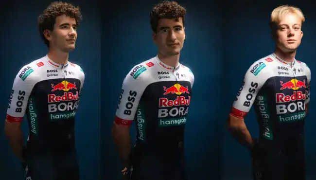red bull bora