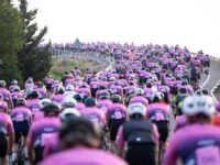 HOME salou4 1024x683 1 1