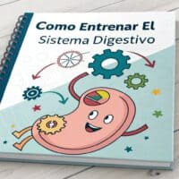 C贸mo Entrenar el Sistema Digestivo para Optimizar tu Rendimiento