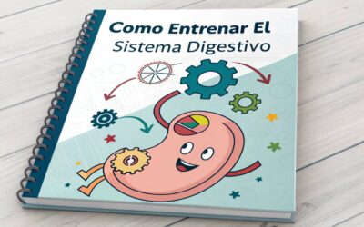 como entrenar el sistema digestivo