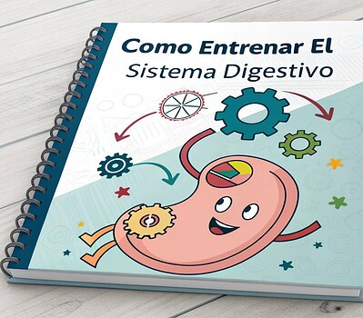 como entrenar el sistema digestivo