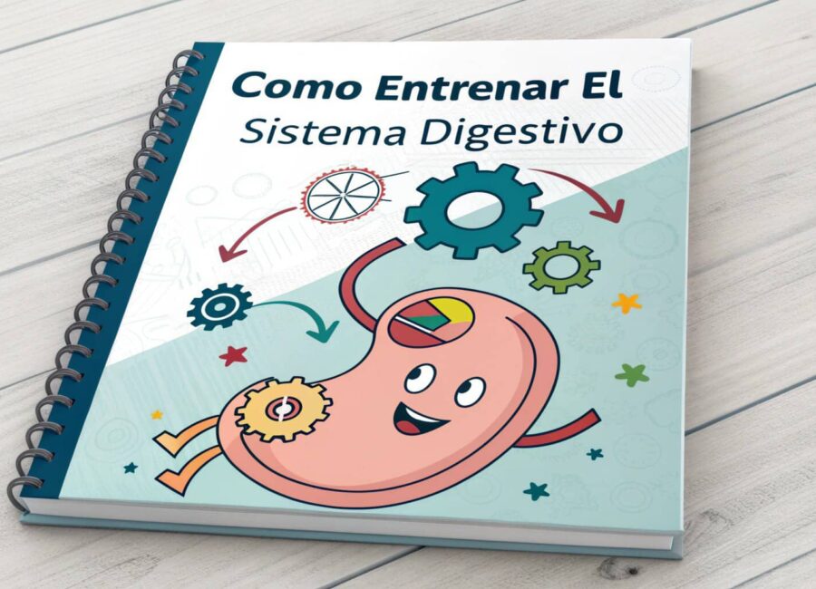 como entrenar el sistema digestivo