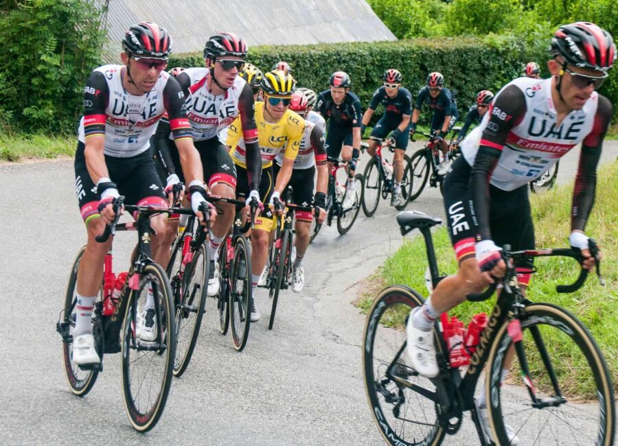 51325010595 997d6660c4 o