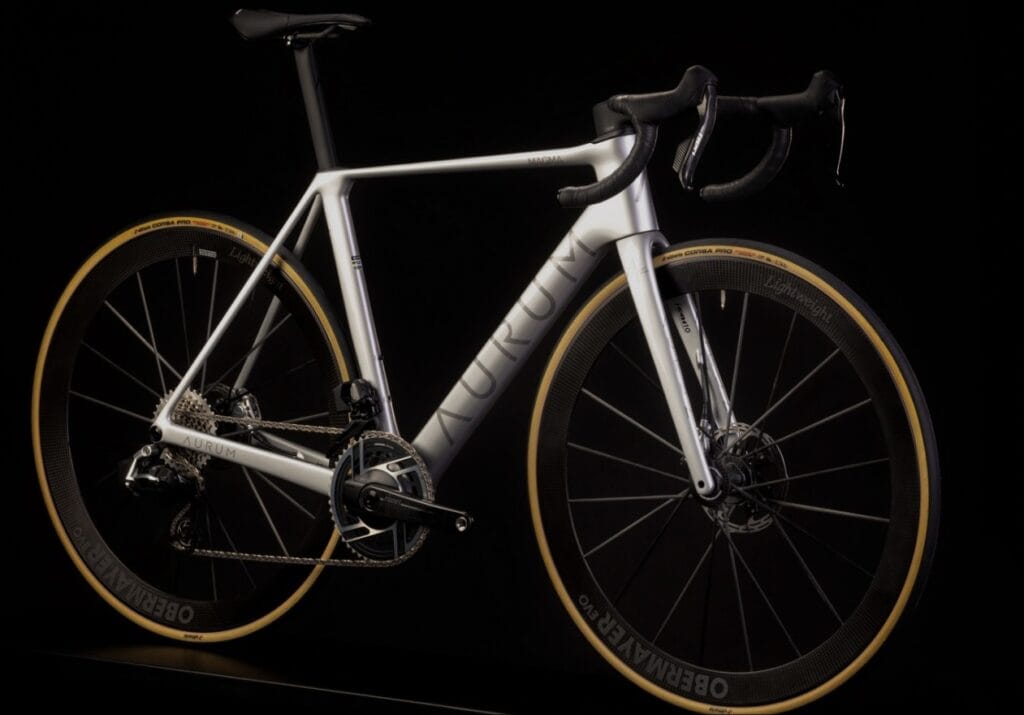 Modelos de bicicletas AURUM