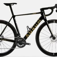 Modelos de bicicletas AURUM