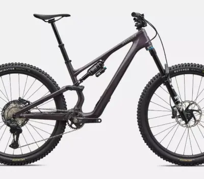 Specialized Stumpjumper 15 EVO