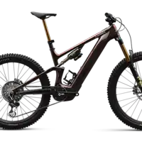 Revisión Specialized Turbo Levo 2026