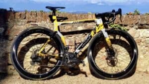 Bicicleta Gregario Vera AR