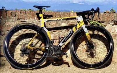 Bicicleta Gregario Vera AR