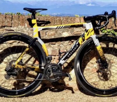 Bicicleta Gregario Vera AR