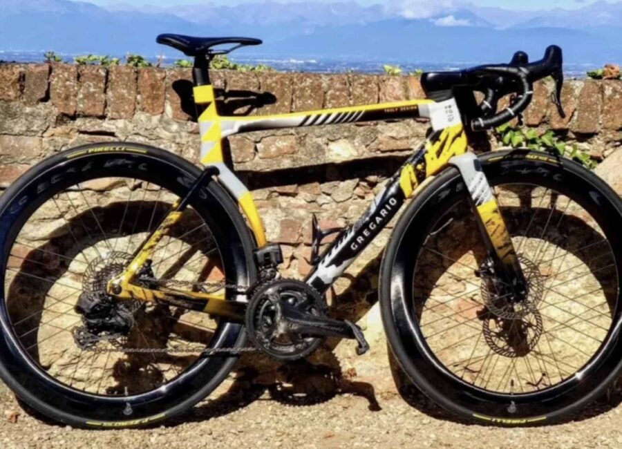 Bicicleta Gregario Vera AR