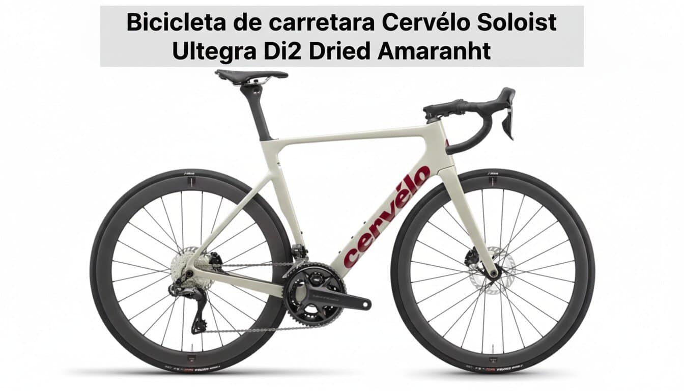 Bicicleta de carretera Cervélo Soloist Ultegra Di2 Dried Amaranth