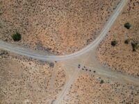 Gravel Nedbank Gravel Burn