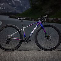 Revisión bicicleta Giant Seek