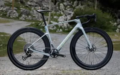 Revisión Orbea Terra Race