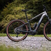 Revisión Focus Jarifa² 2026