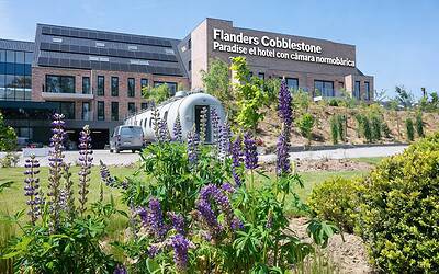Flanders Cobblestone Paradise el hotel con cámara normobárica