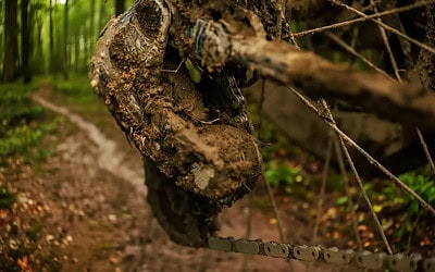 nuevo grupo de descenso AXS