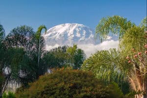 Explorando el Kilimanjaro sobre dos ruedas: El desafío del ciclismo de altura