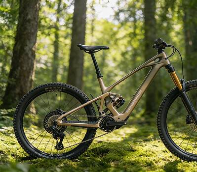 Mondraker Zendit con motor Avinox: todo sobre modelos, pesos y precios