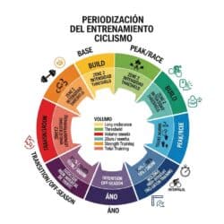 periodización del entrenamiento