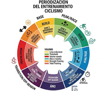 periodización del entrenamiento