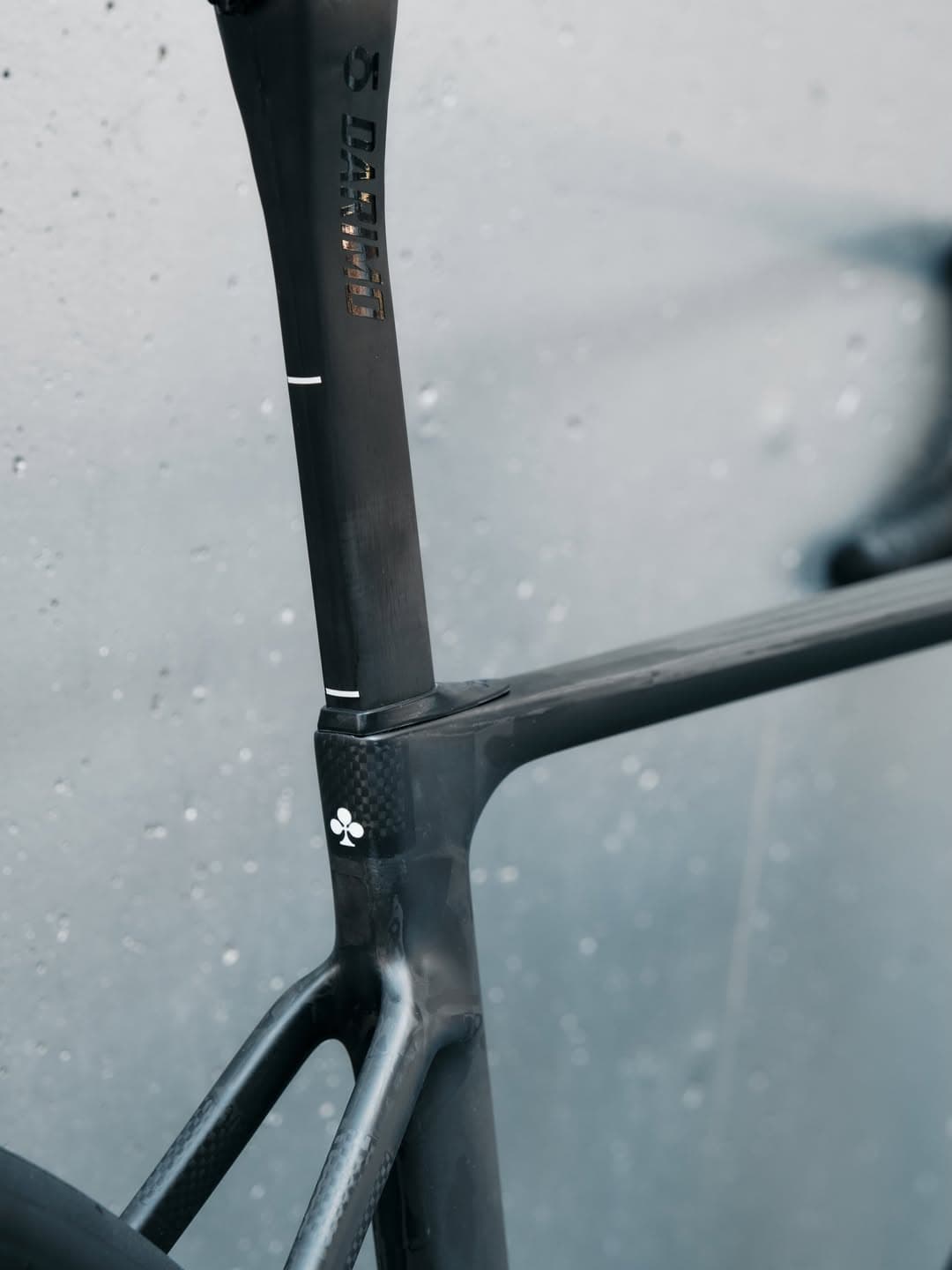 Detalle ruedas Lightweight Meilenstein y cuadro raw Colnago V5Rs